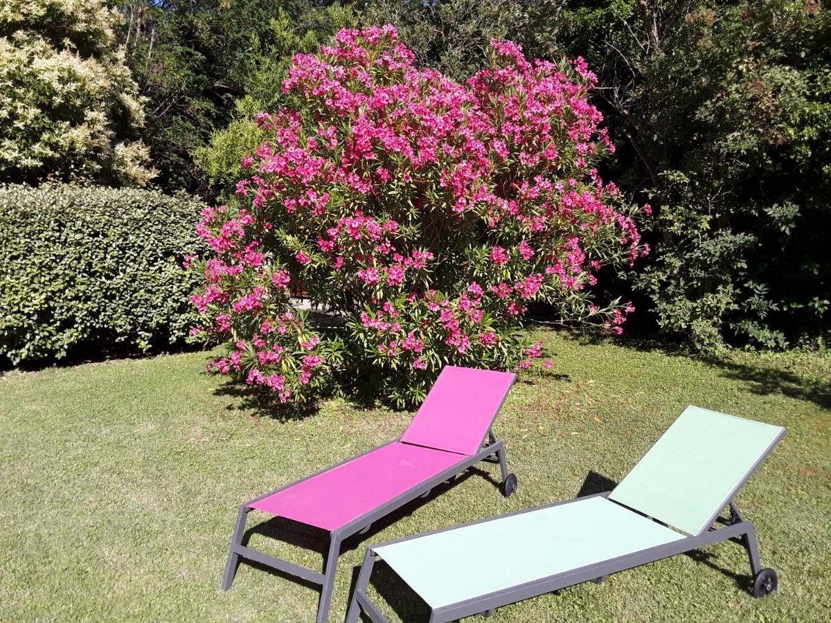 Le Mas Du Chat Bed & Breakfast Cavaillon Dış mekan fotoğraf
