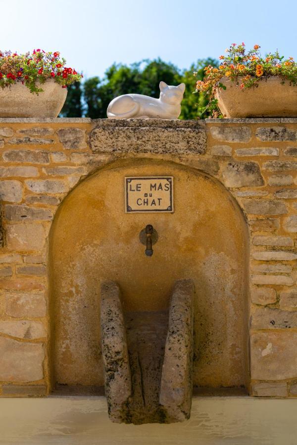Le Mas Du Chat Bed & Breakfast Cavaillon Dış mekan fotoğraf