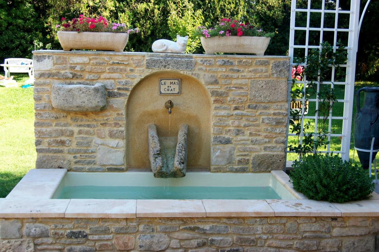 Le Mas Du Chat Bed & Breakfast Cavaillon Dış mekan fotoğraf